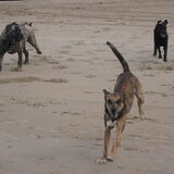 Foto van José • Rover