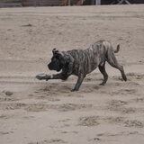 Foto van José • Rover