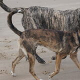 Foto van José • Rover