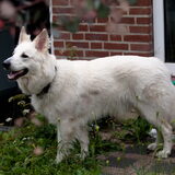 Mijn stoere kerel!