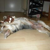 Foto van Melissa, Dempsey, Taiko, Minos & *Nina*