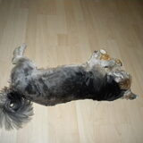Dempsey's speeltje eens uit testen XD