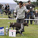 Foto van kelly,s black favoriete