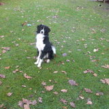 woody =)
