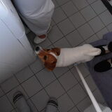 wat doen ze toch met dat baby'tje