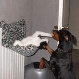 Foto van Marleen , Blacky & Justy