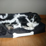 woody in kerstsfeer
