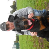 rex