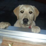 mijn schatje !