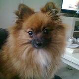 9 maandjes oud