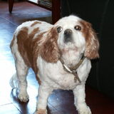 hier was ninca 13 jaar