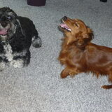 Foto van Greetje & Odie