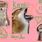 Voor Joni
