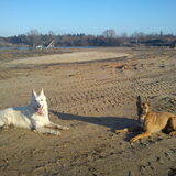 Foto van Hetty & Skipper