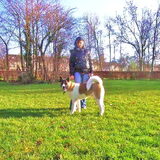 6,5 maand