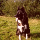 my beauty