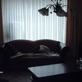 Stoeien met Doggie.