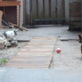 Doggie vind alles leuk.