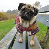 Foto van Abby &Google