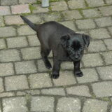 11-12-2011-- Ik waak hier