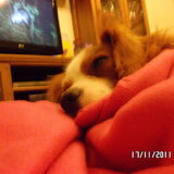 superschattig!!!