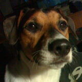ziggy de vader van zaina en shane