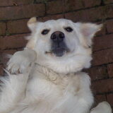 halllooo!!