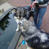 kennismaking met Yaco