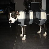 Muis vind het niet zooo leuk :D maa hey whatever !