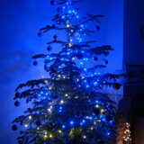 Onze echte kerstboom dit jaar :)