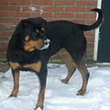 maxi vlak voor ze overleed
