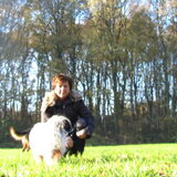 Foto van liesbeth,Turbo,Luna, Levi en Faith
