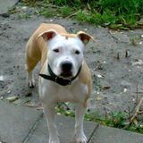 Chickie in haar jongere jaren xD