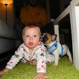 Onze jongste zoon Kian met Perry toen 8 weekjes :)