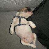 zzzzzzzz....