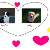 inty en yarco x