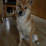 Kenai'tje ^^