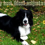 Foto van silke & woody