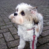 Foto van stephanie