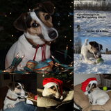 Kerstkaart 2011.