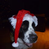 Kerstmis in het huis