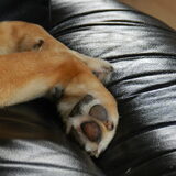 Kenai haar pootjes ^^
