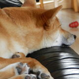 Kenai'tje! :)