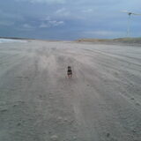 Storm op het strand bij duindorp