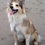 lieverd