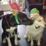 Foto van Sandra en Fleurtje