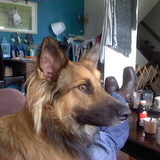 Foto van Melissa & Rosco