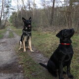Marley & Wolf lusten wel een koekje...