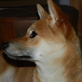 Kenai'tje