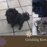 Bewerkte Fotos van Spike of spike(met iemand anders)
